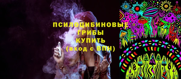 прущая мука Бородино