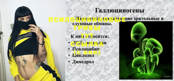 прущая мука Бородино