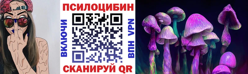 магазин    Горно-Алтайск  Галлюциногенные грибы Psilocybe 